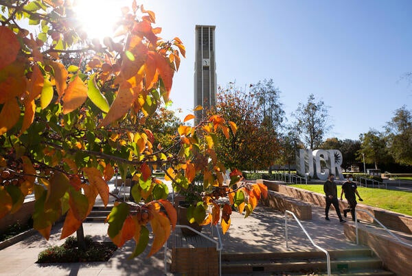 UCR Bell tower and letters